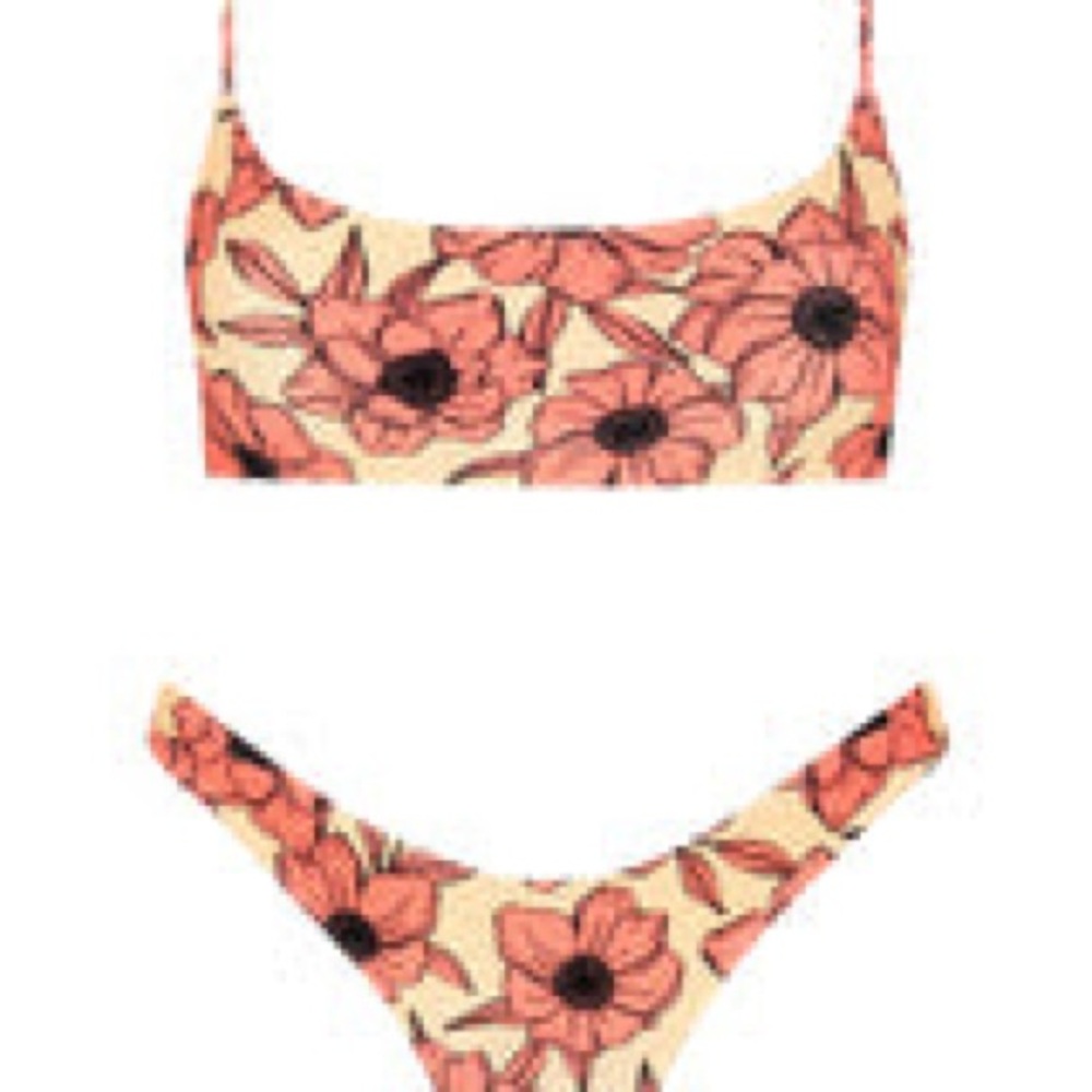Triangl Mica - Pink Floral Velvet Bikini in Pink and Black - Picture 3 of 5